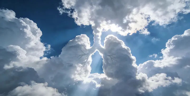 潮州肺癌120基因ctDNA突变检测(血液）图片1