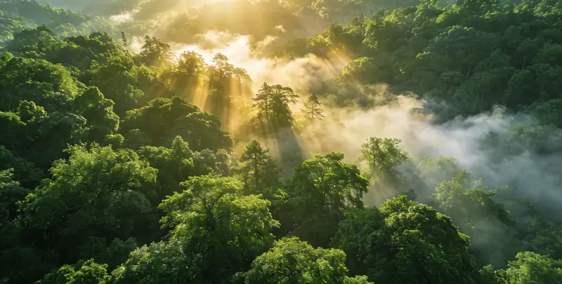 潮州肺癌（EGFR T790M)突变检测图片1