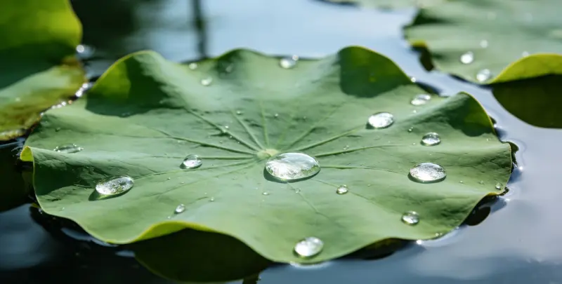 潮州乳腺癌21基因mRNA表达分析图片1