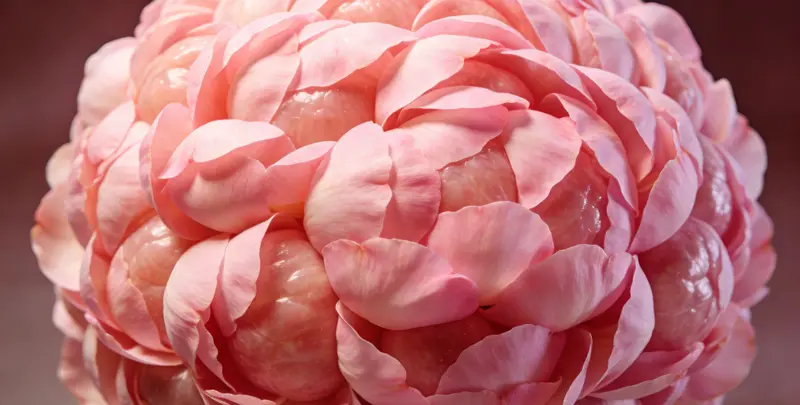 潮州BRCA1/2乳腺癌卵巢癌基因检测图片1